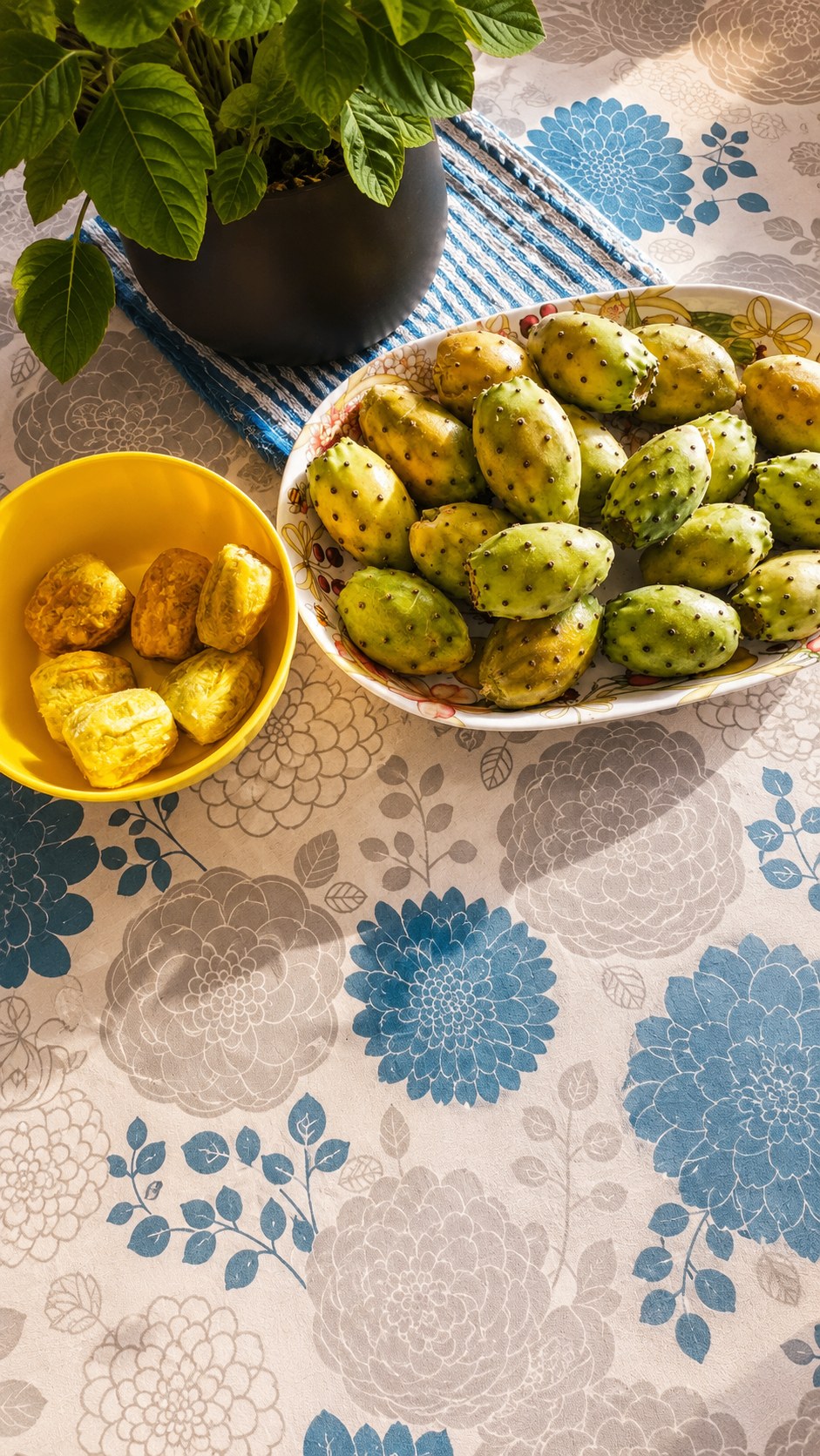 Figues de Barbarie